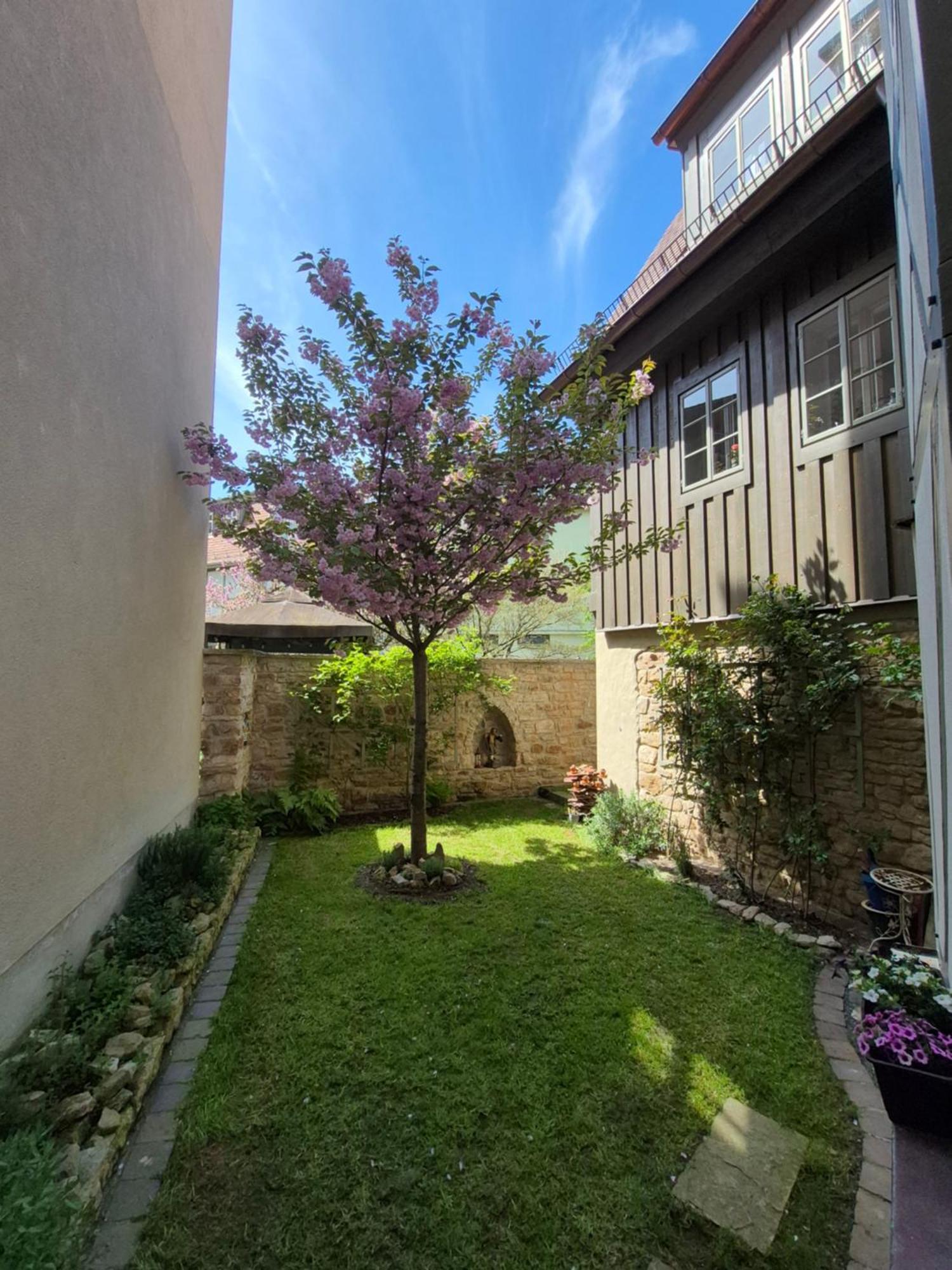 Aussergewoehnliches, Historisches, Spaetgotisches Wohnhaus Von 1519, Gries 5 Gera Esterno foto